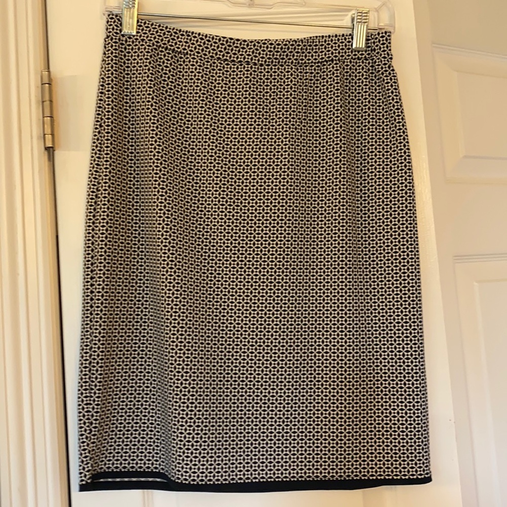 Max Studio Skirt